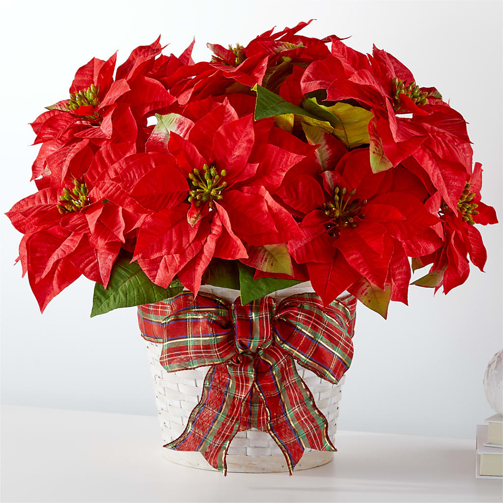 Happiest Holidays Poinsettia – HEART LAKE FLOWERS & GIFTS, Brampton ON