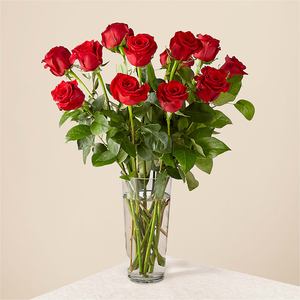 Long Stem Red Rose Bouquet – HEART LAKE FLOWERS & GIFTS, Brampton ON