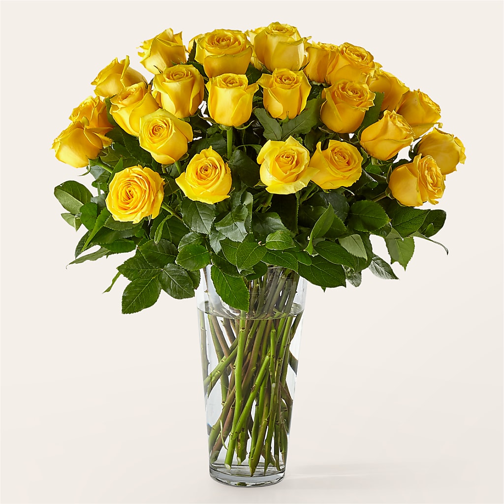 Long Stem Yellow Rose Bouquet – HEART LAKE FLOWERS & GIFTS, Brampton ON