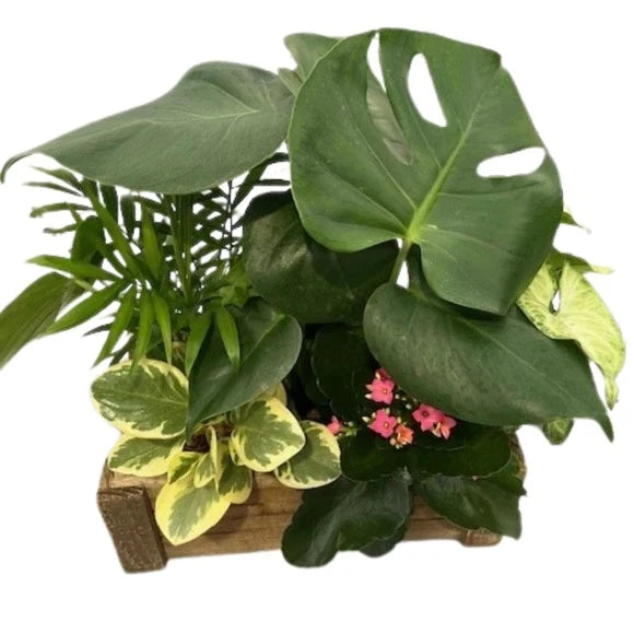 Wooden tropical Rectangle Basket With Handle