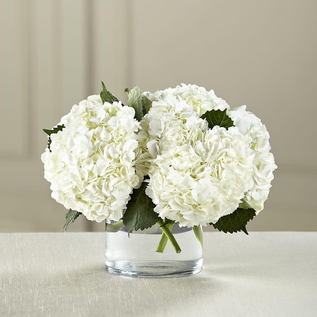 White Hydrangea Bouquet – HEART LAKE FLOWERS & GIFTS, Brampton ON