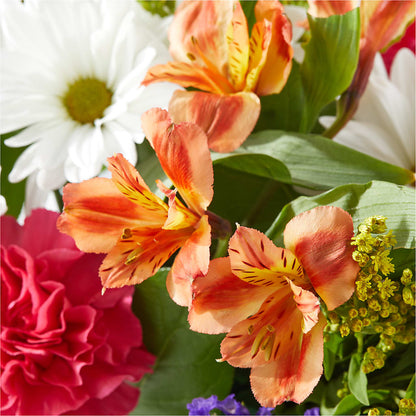 Oopsie Daisy Box Bouquet – HEART LAKE FLOWERS & GIFTS, Brampton ON
