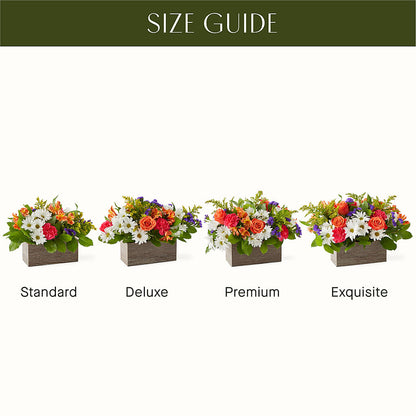 Oopsie Daisy Box Bouquet – HEART LAKE FLOWERS & GIFTS, Brampton ON