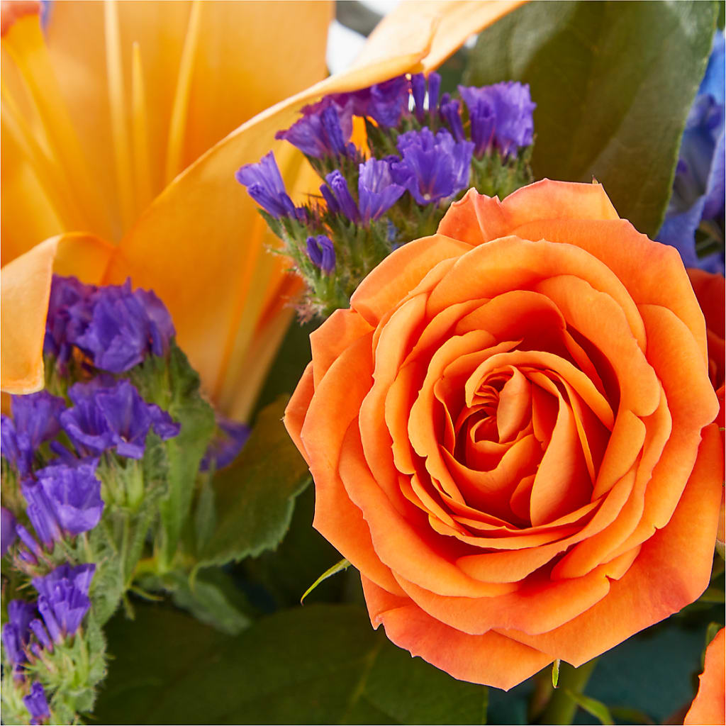 Radiant Citrus Box Bouquet – HEART LAKE FLOWERS & GIFTS, Brampton ON