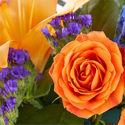Radiant Citrus Box Bouquet – HEART LAKE FLOWERS & GIFTS, Brampton ON