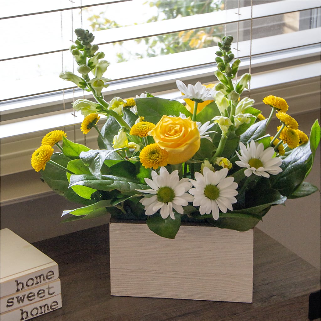 Sun Salutation Box Bouquet – HEART LAKE FLOWERS & GIFTS, Brampton ON