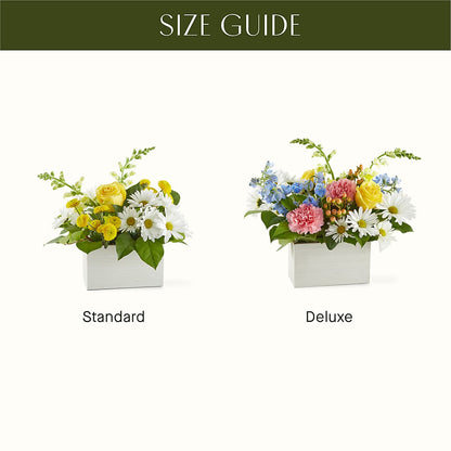 Sun Salutation Box Bouquet – HEART LAKE FLOWERS & GIFTS, Brampton ON