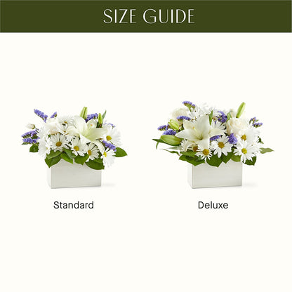 Beyond Blue Box Bouquet – HEART LAKE FLOWERS & GIFTS, Brampton ON