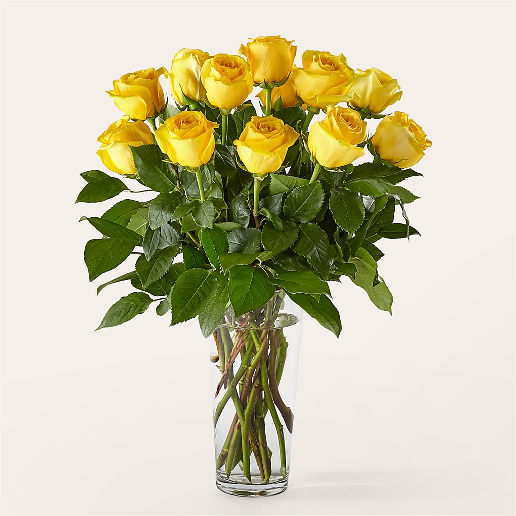 Long Stem Yellow Rose Bouquet – HEART LAKE FLOWERS & GIFTS, Brampton ON