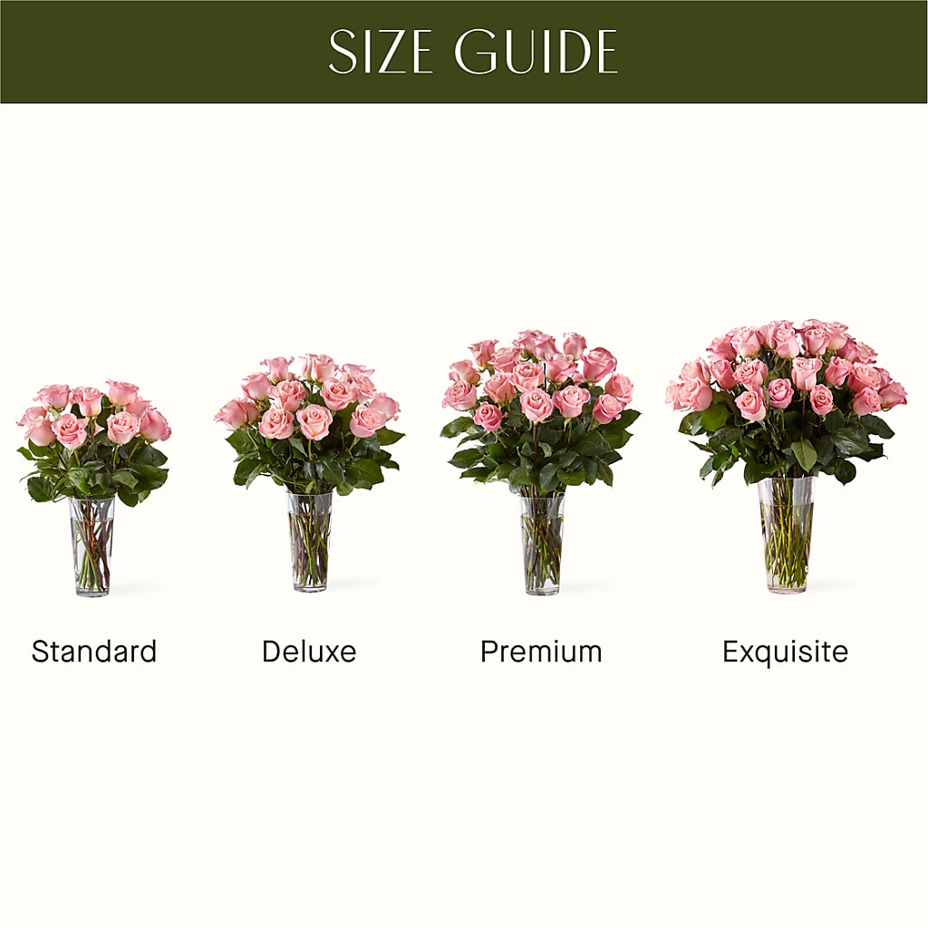 Long Stem Pink Rose Bouquet – HEART LAKE FLOWERS & GIFTS, Brampton ON