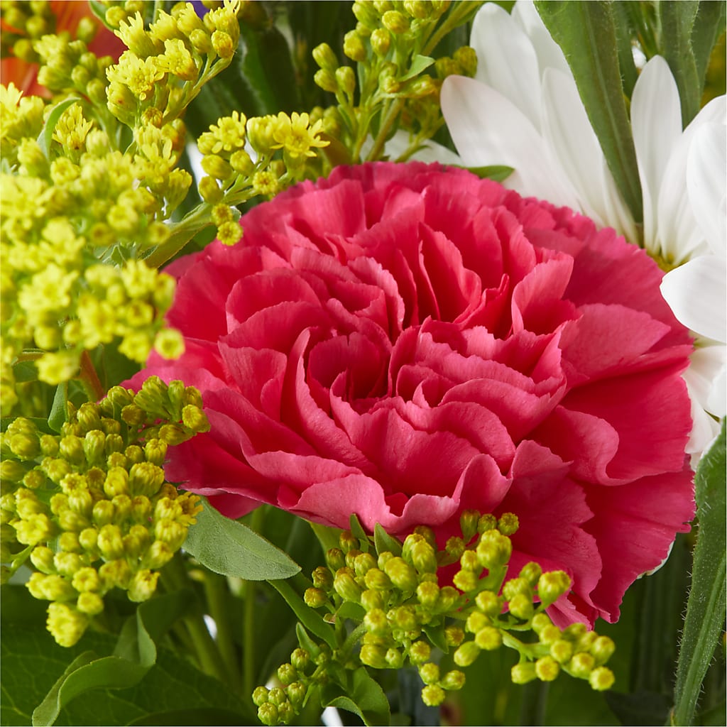 Oopsie Daisy Bouquet – HEART LAKE FLOWERS & GIFTS, Brampton ON