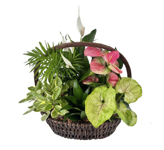 Tropical planter basket