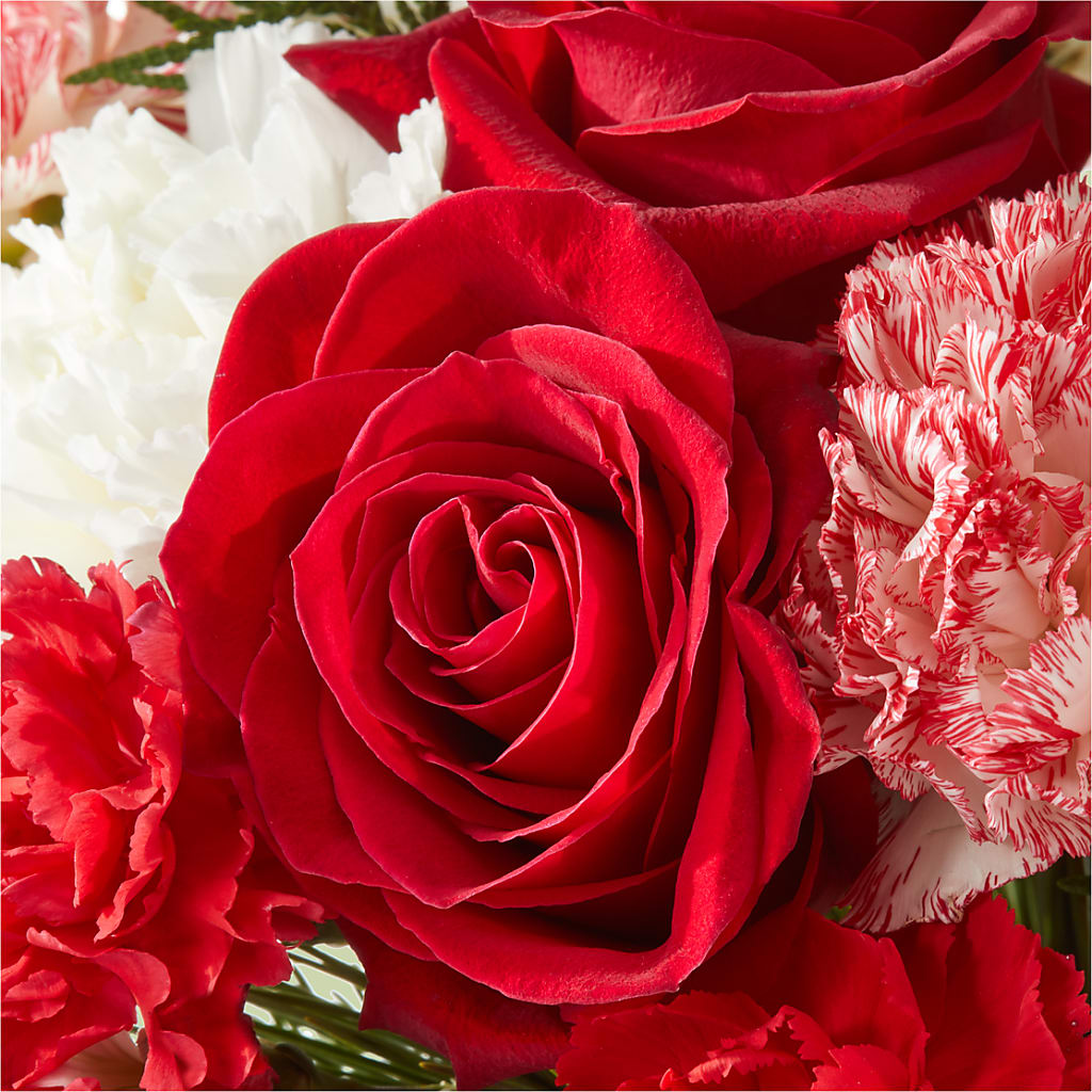 Candy Cane Lane Bouquet – HEART LAKE FLOWERS & GIFTS, Brampton ON