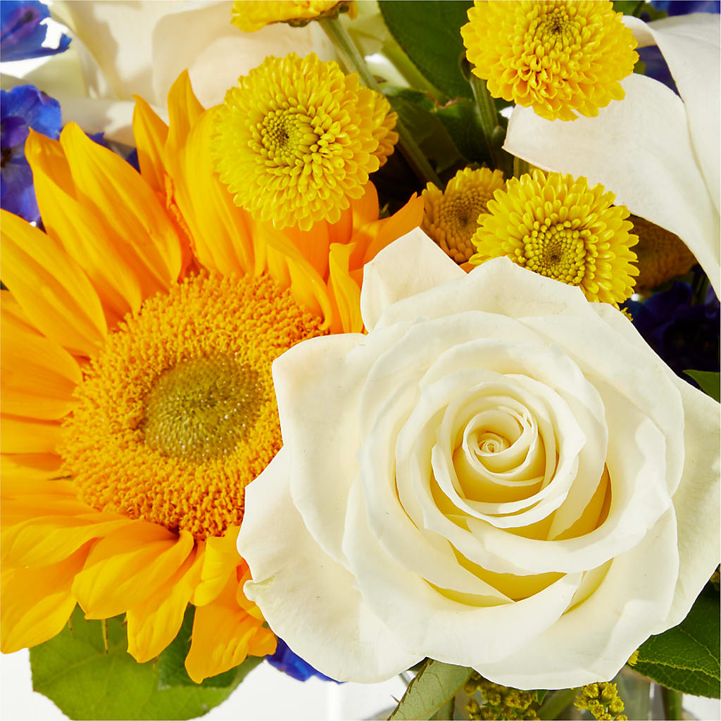 Stargazing Bouquet – HEART LAKE FLOWERS & GIFTS, Brampton ON