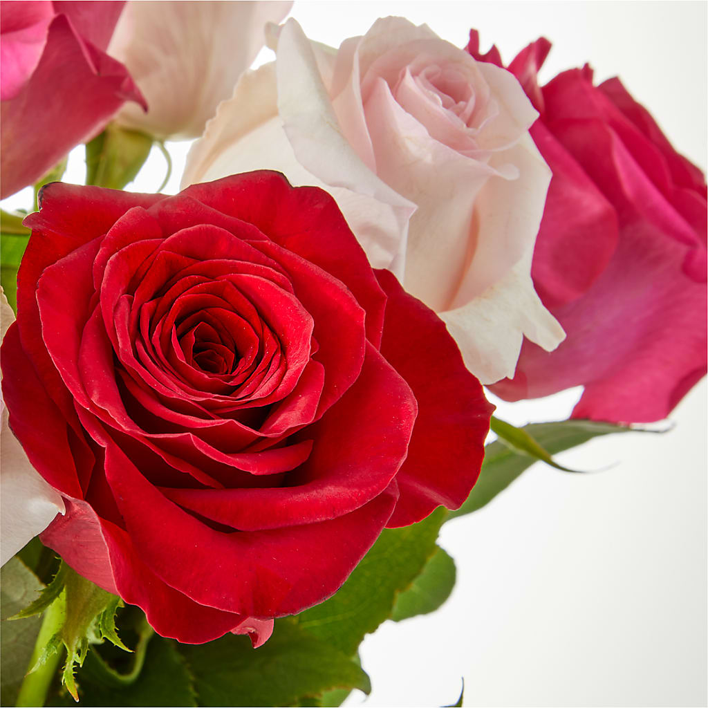 Charming Rose Bouquet – HEART LAKE FLOWERS & GIFTS, Brampton ON